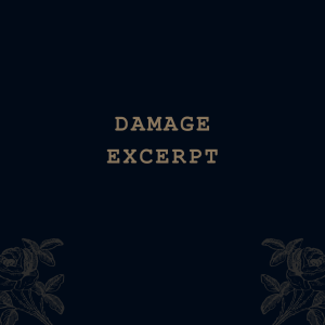 Damage (Excerpt)