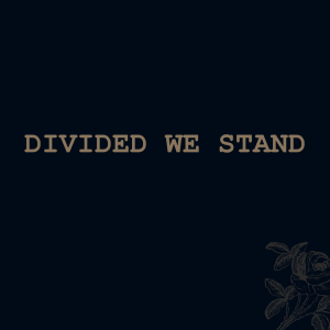 Divided We Stand