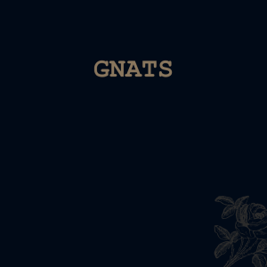 Gnats