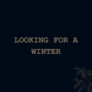 Looking For A Winter