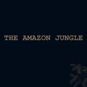 The Amazon Jungle
