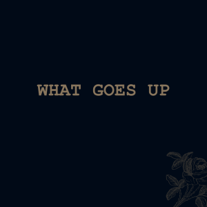 What Goes Up