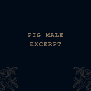 Pig Male (excerpt)