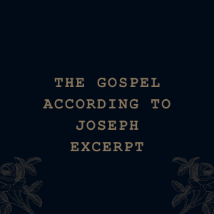 The Gospel According To Joseph (excerpt)