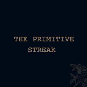 The Primitive Streak