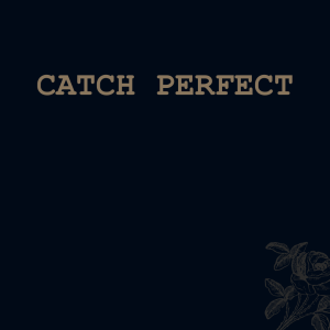 Catch Perfect