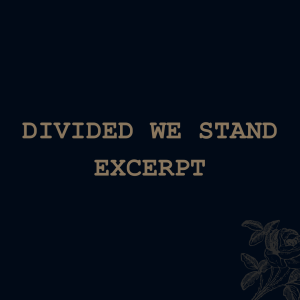 Divided We Stand (excerpt)
