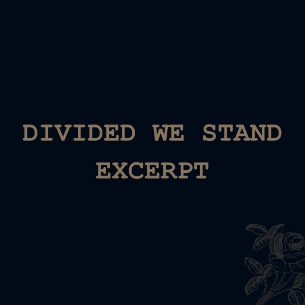 Divided We Stand (excerpt)