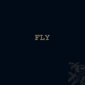 Fly