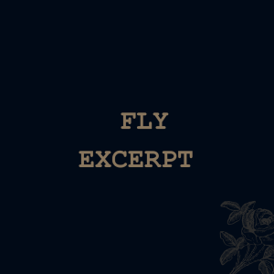 Fly (excerpt)