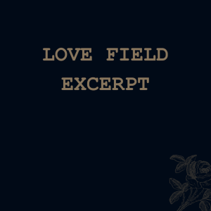 Love Field (excerpt)
