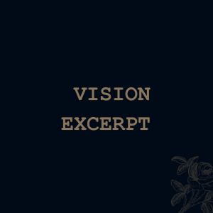 Vision (excerpt)