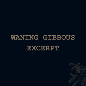 Waning Gibbous (excerpt)