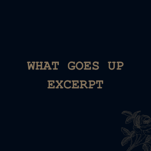 What Goes Up (excerpt)